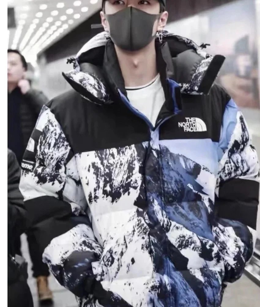 The North Face Down Puffer Jacket